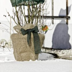 Jute Dekoband / Wickelstreifen Öko Jute Dekoband / Wickelstreifen Öko