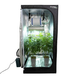 Growbox Komplettset, Gewächshaus-Indoor, 80 x 80 x 160 cm