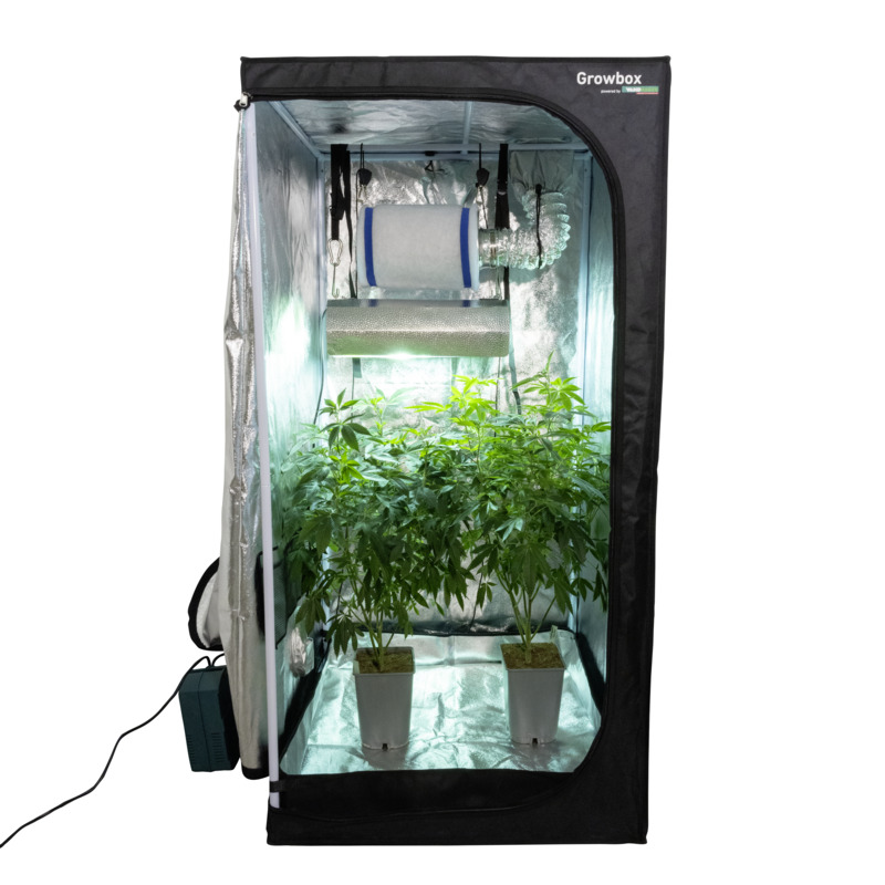 Growbox Komplettset, Gewächshaus-Indoor, 80 x 80 x 160 cm