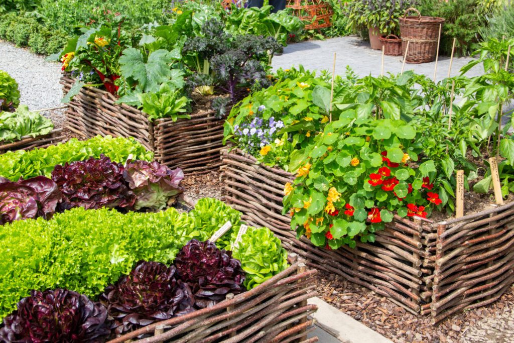 Online Shop für Gartenartikel